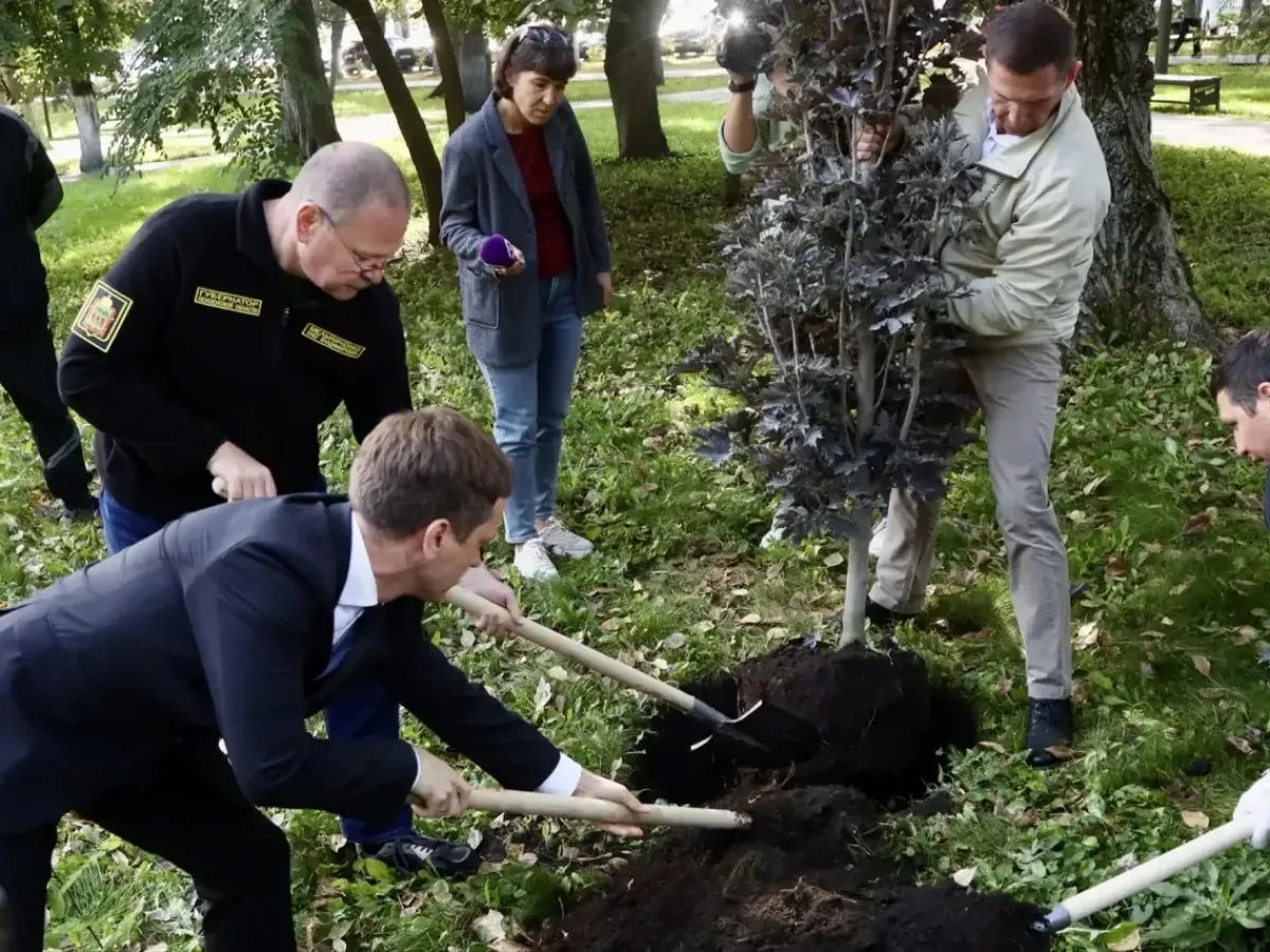 В Пензе осенью высадят еще три тысячи деревьев и кустарников