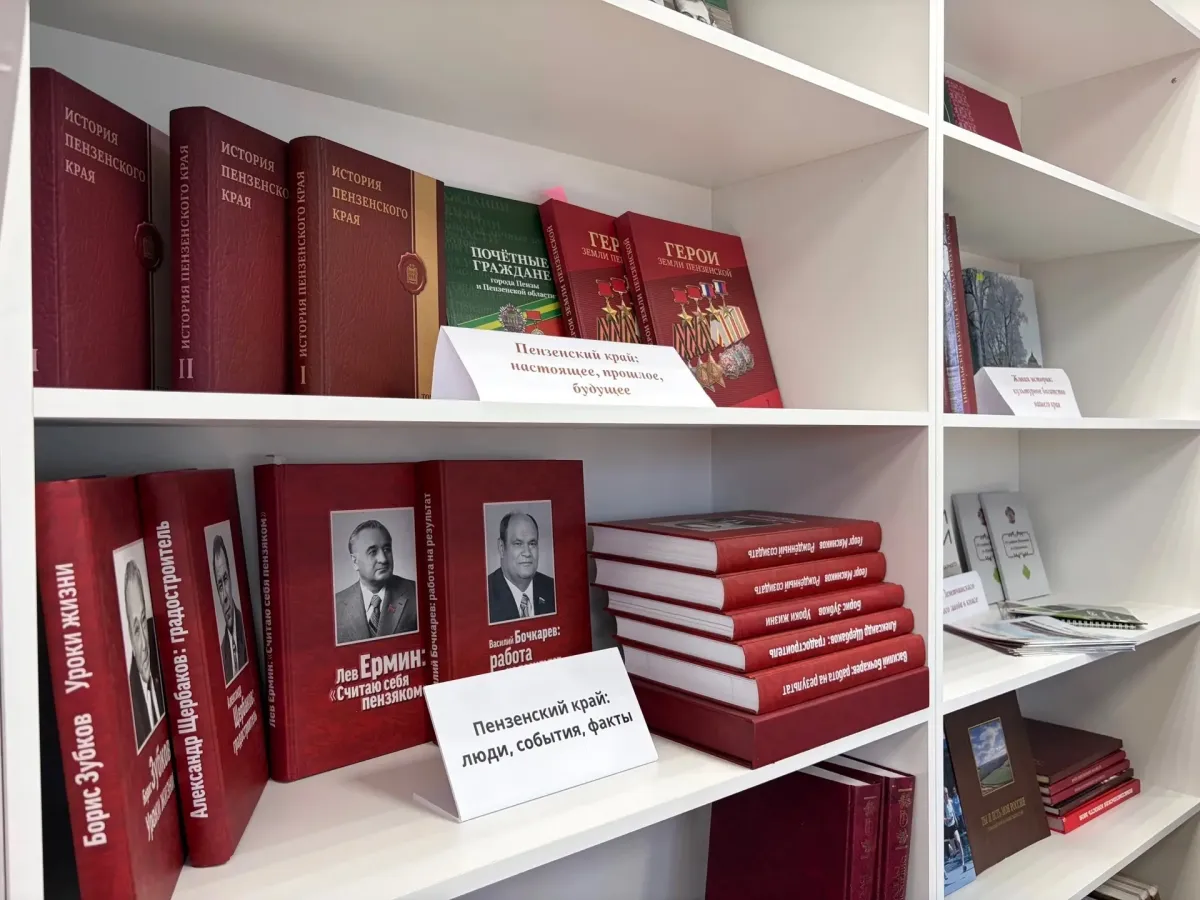 В Земетчино открылась модельная библиотека после модернизации