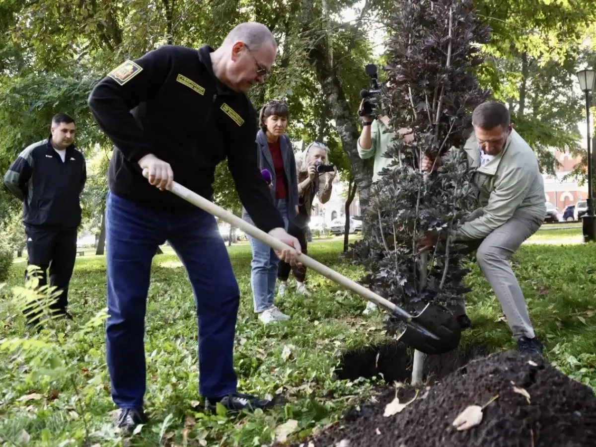В Пензе осенью высадят еще три тысячи деревьев и кустарников