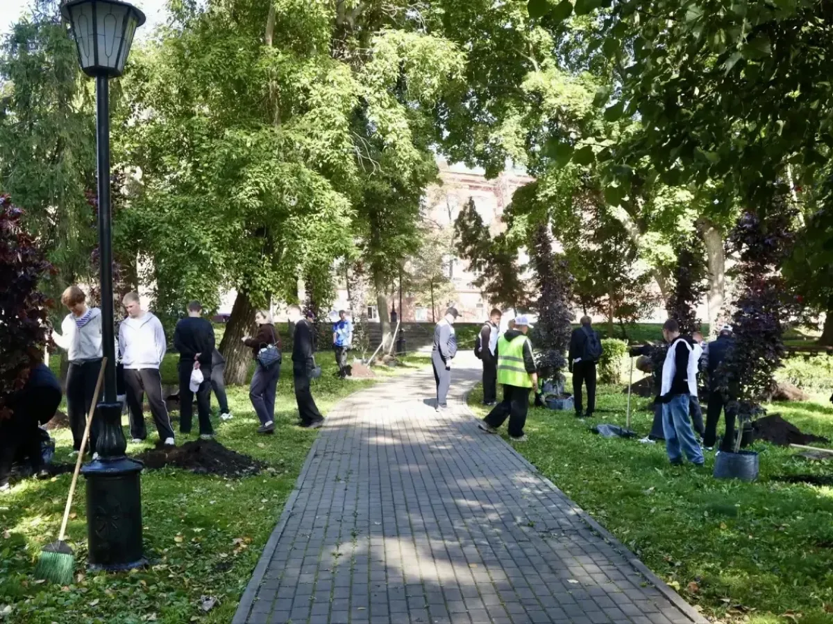 В Пензе осенью высадят еще три тысячи деревьев и кустарников