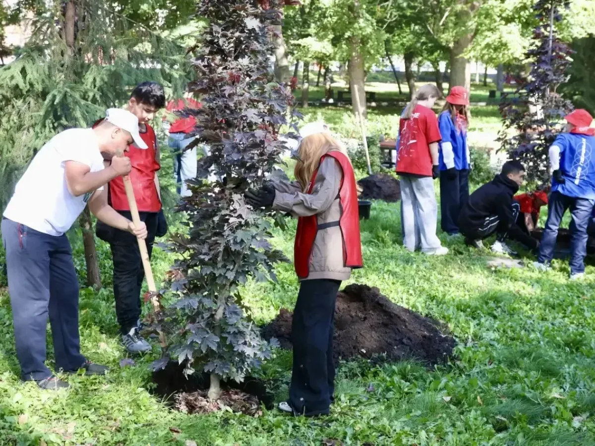 В Пензе осенью высадят еще три тысячи деревьев и кустарников