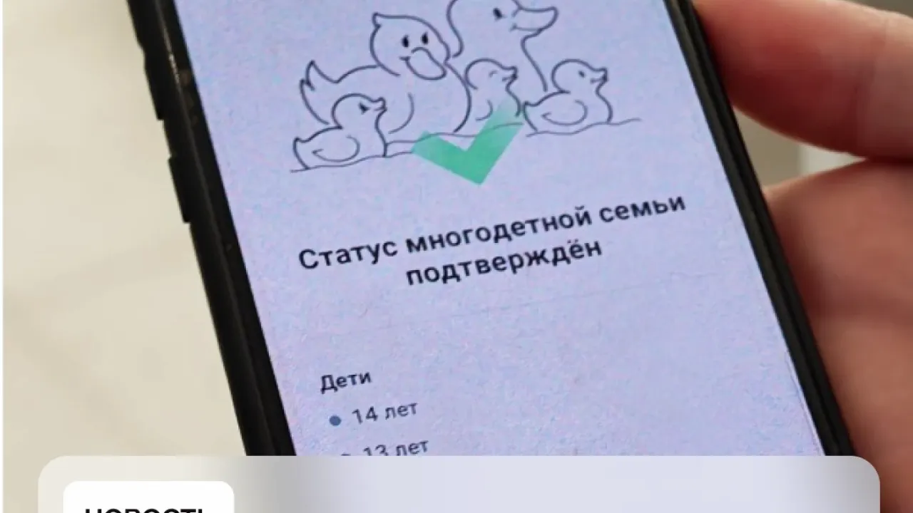 В Пензенской области льготы можно подтверждать через мессенджер МАХ — Пенза Сейчас
