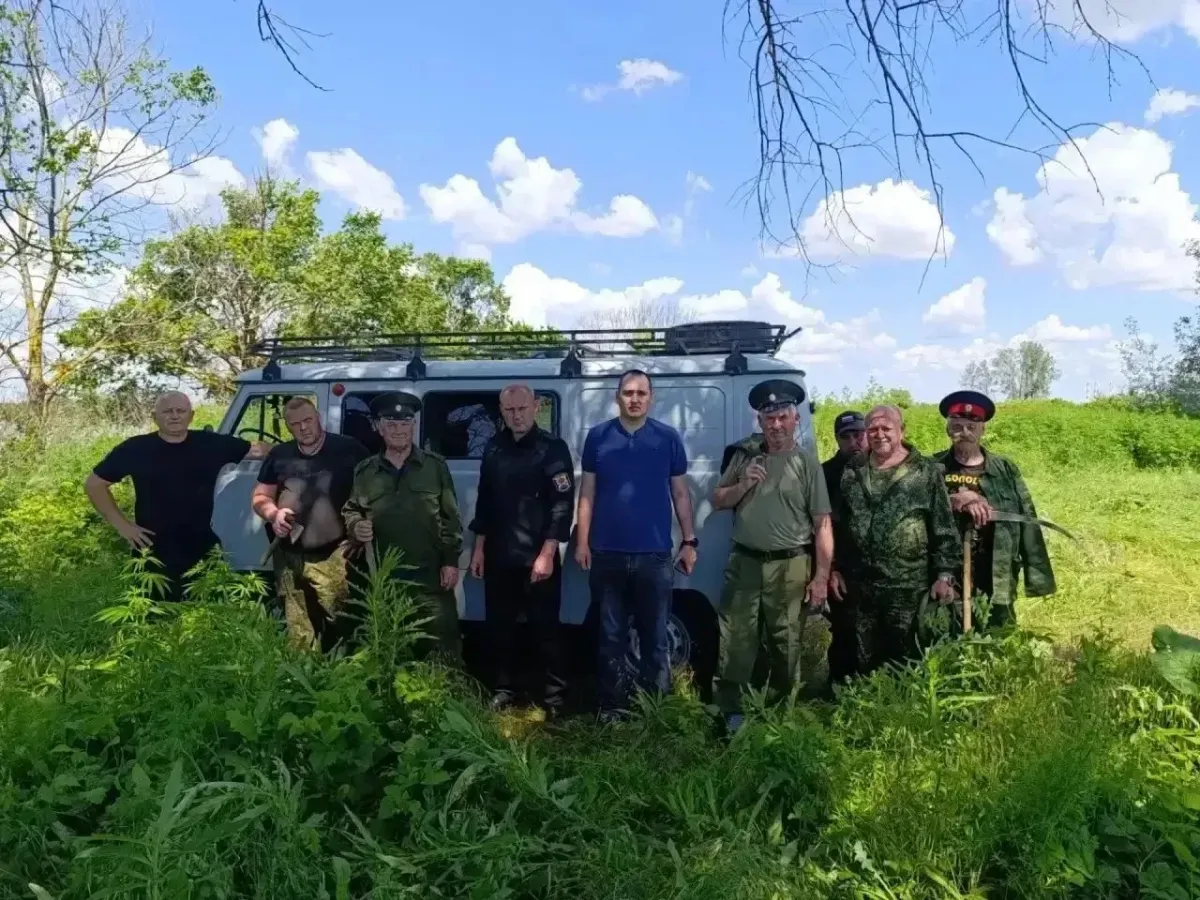 Полицейские и казаки уничтожили более 1,5 тысячи кустов дикорастущей конопли