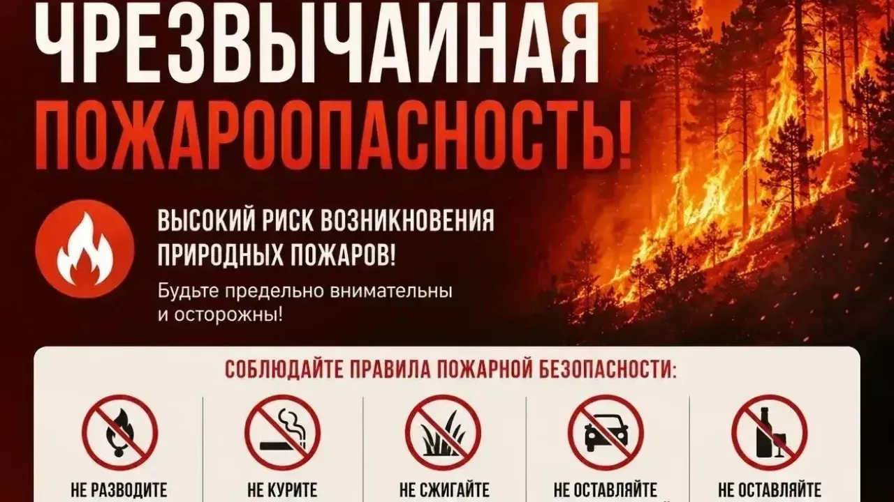 Штормовое предупреждение о чрезвычайной пожароопасности объявили в трёх районах области — Ростов-на-Дону Сейчас
