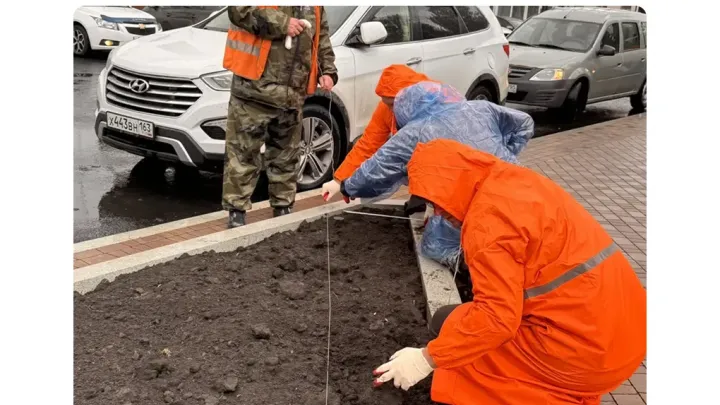 На площади Революции в Самаре начали создавать декоративные цветочные клумбы — Самара Сейчас