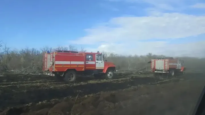 В Большеглушицком районе ликвидировали лесной пожар площадью 5,2 га — Самара Сейчас