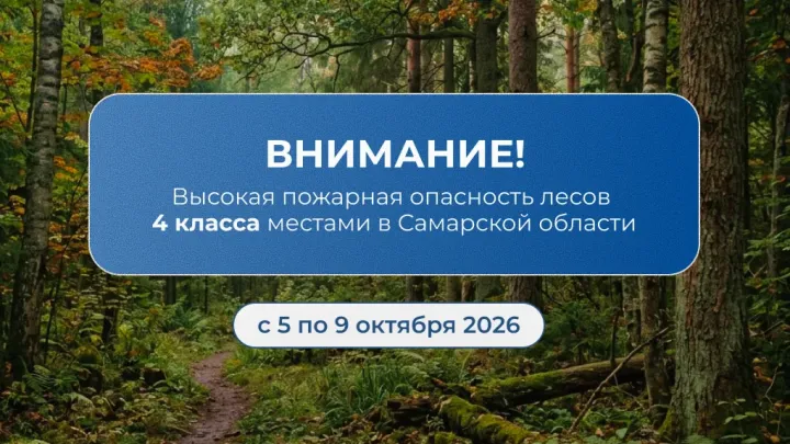 В Самарской области объявлена высокая пожарная опасность лесов 4 класса — Самара Сейчас