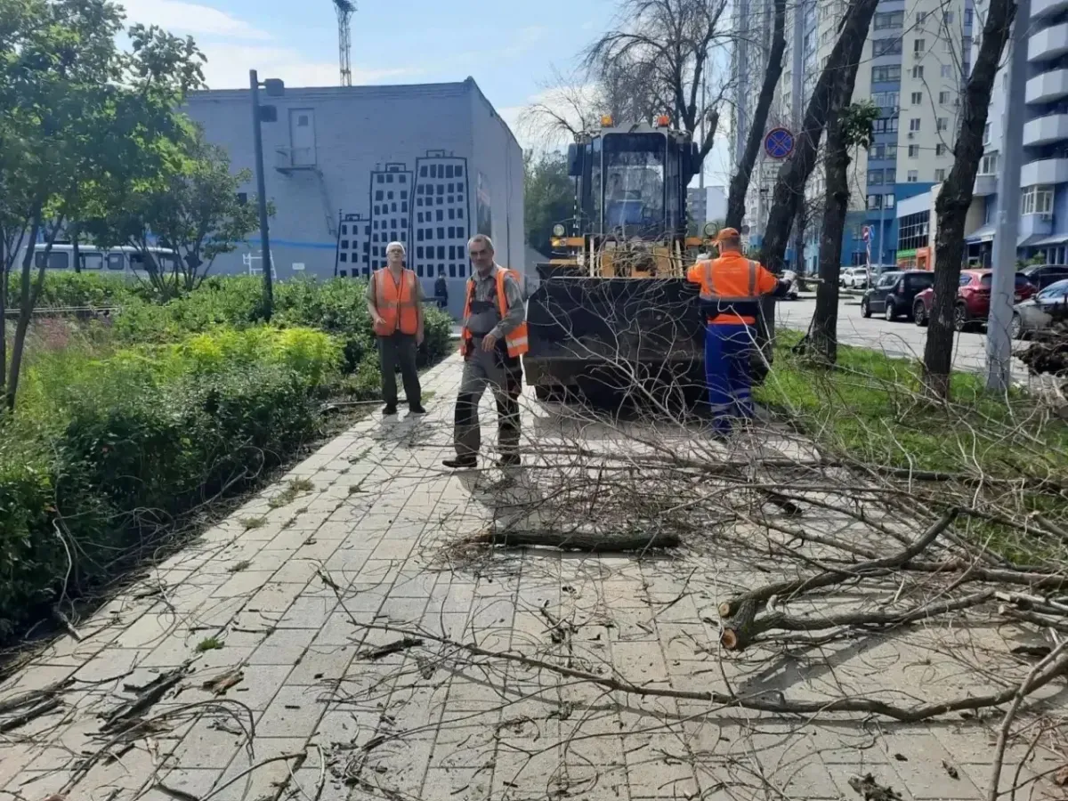 В Самаре ликвидировали последствия штормового ветра и залпового ливня
