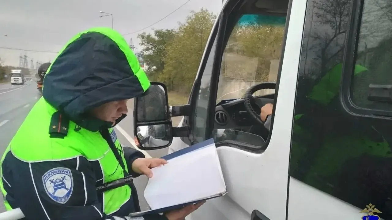 В Жигулевске возбудили уголовное дело в отношении задержанного инспекторами ДПС водителя — Самара Сейчас