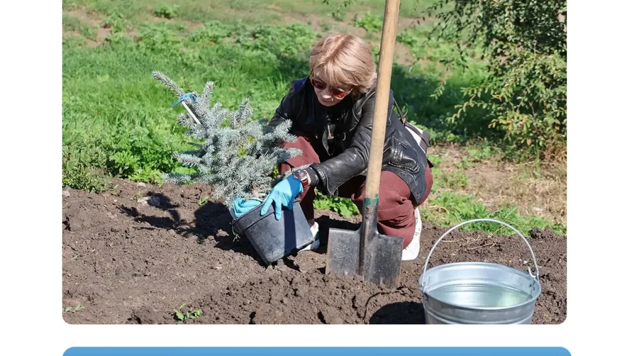 В Самаре усилили уход за деревьями и кустарниками на городских участках — Самара Сейчас