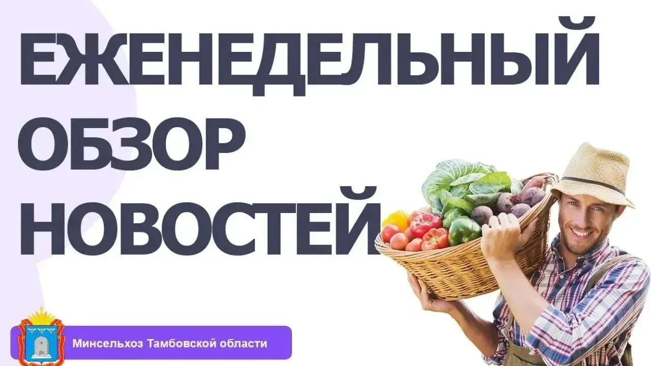 В Тамбовской области обсудили поддержку АПК, перевозки зерна и кадровые вопросы — Тамбов Сейчас