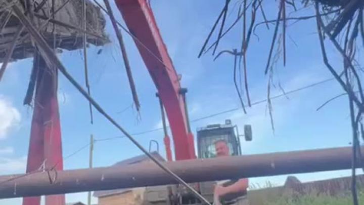 Лошади из Чугунаевского охотхозяйства помогли подняться после переедания пшеницы — Тюмень Сейчас