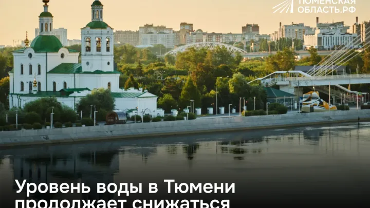 В Тюмени уровень реки Туры за август опустился более чем на мет? — Тюмень Сейчас