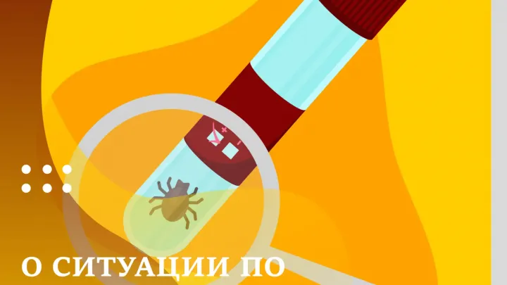 В Тюменской области зафиксировали свыше 12 тысяч обращений из-за укусов клещей — Тюмень Сейчас