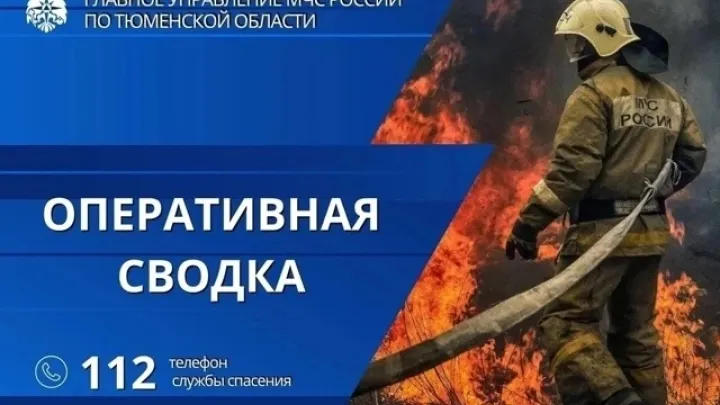 В Тюменской области за сутки произошло два пожара и 14 выездов на ДТП — Тюмень Сейчас