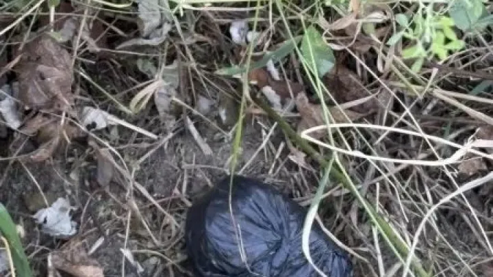В Тюмени задержали подозреваемого в сбыте мефедрона и гашиша — Тюмень Сейчас