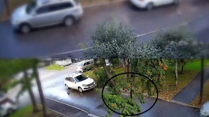 В Тюмени задержали подозреваемого в краже мотоцикла с парковки на Садовой — Тюмень Сейчас