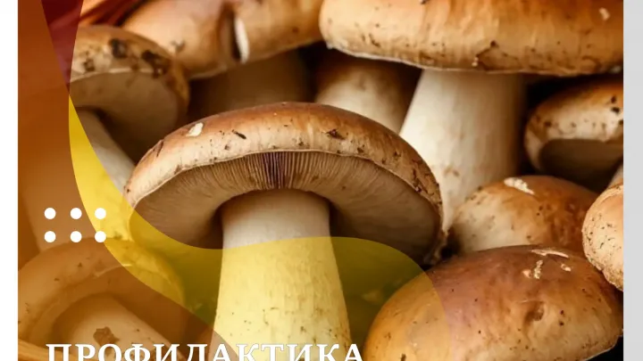 В Тюменской области зафиксированы единичные случаи отравления грибами — Тюмень Сейчас