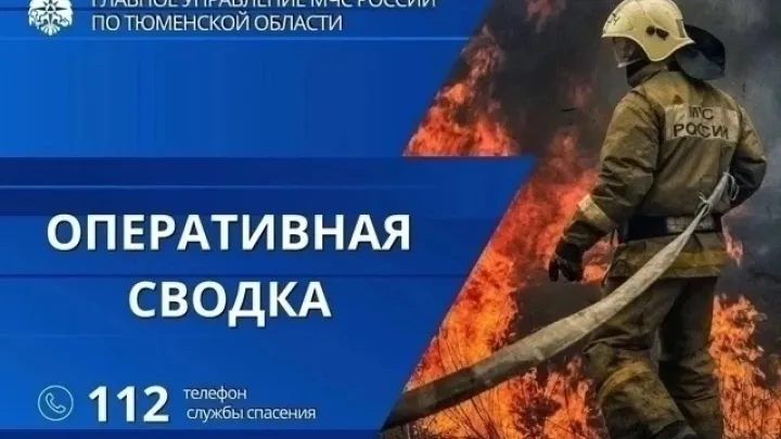 В Тюменской области за сутки ликвидировали 7 техногенных пожаров — Тюмень Сейчас