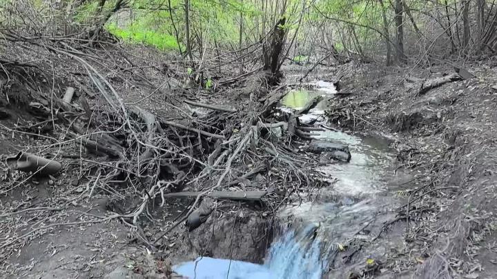 Городищенский лог планируют благоустроить без крупной застройки — Тюмень Сейчас