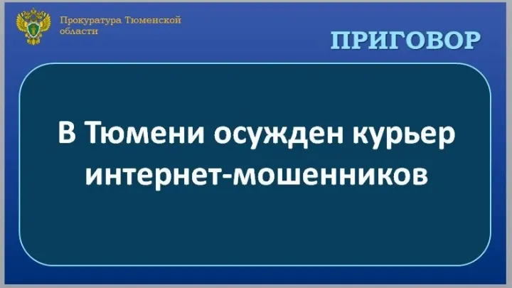 В Тюмени осудили 19-летнего жителя Санкт-Петербурга за мошенничество на 2,3 млн рублей — Тюмень Сейчас