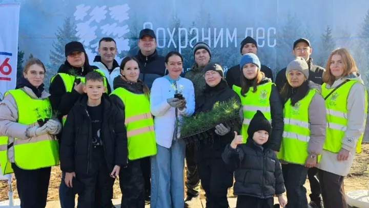 Судебные приставы высадили около 300 сосен в тюменском лесничестве — Тюмень Сейчас