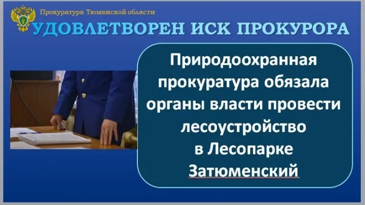 Прокуратура через суд обязала провести лесоустройство в «Лесопарке Затюменском» — Тюмень Сейчас