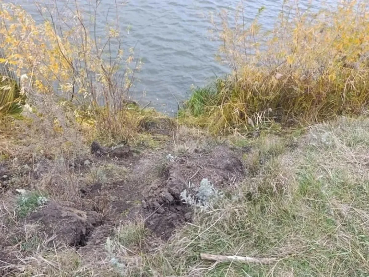 В Казанском округе автомобиль съехал в реку, водитель погибла