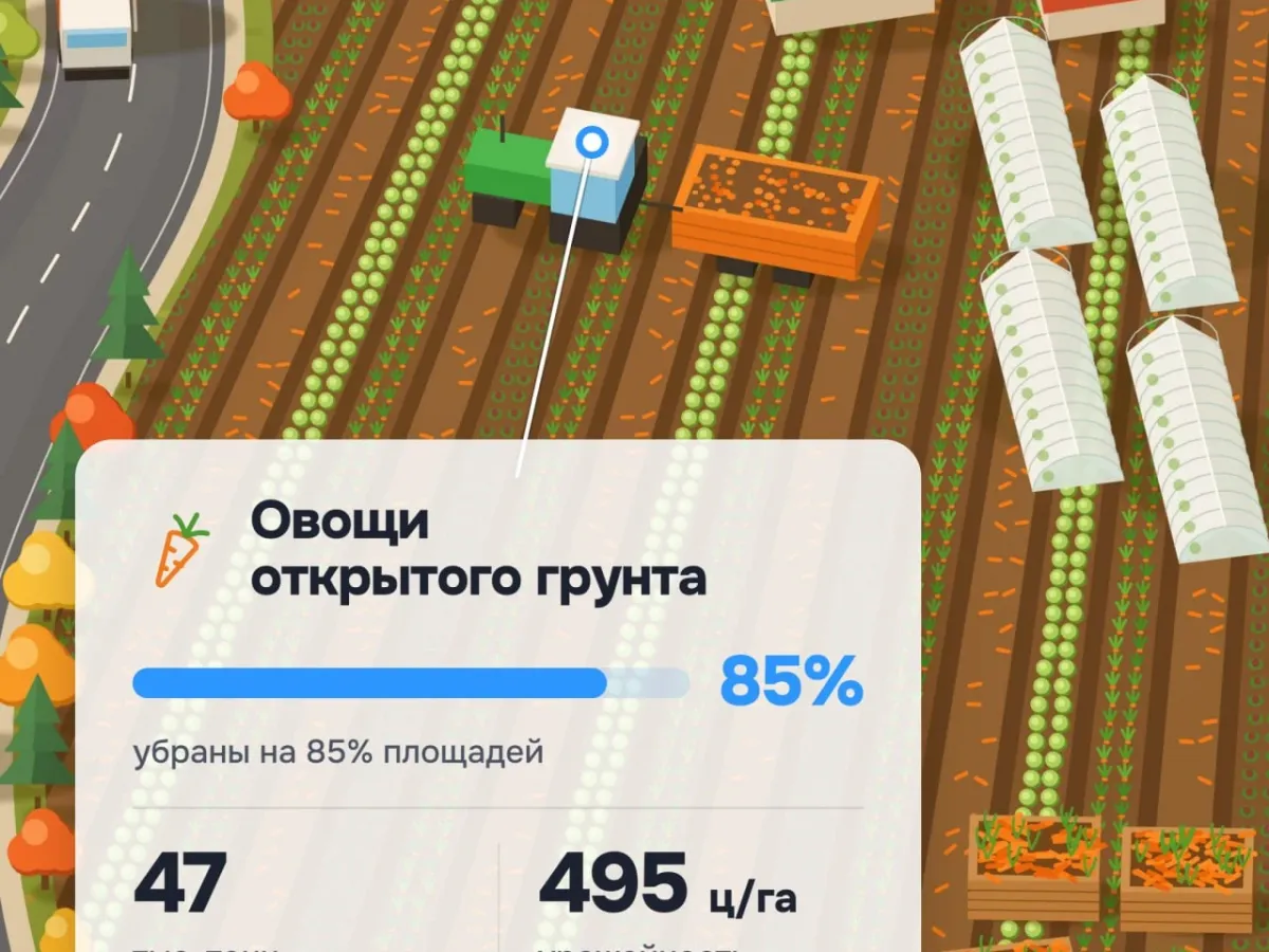 В пяти муниципальных округах Тюменской области уборочная кампания подходит к завершению