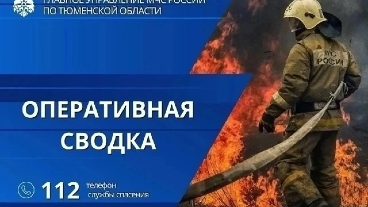 За сутки в Тюменской области зафиксировали семь техногенных пожаров — Тюмень Сейчас