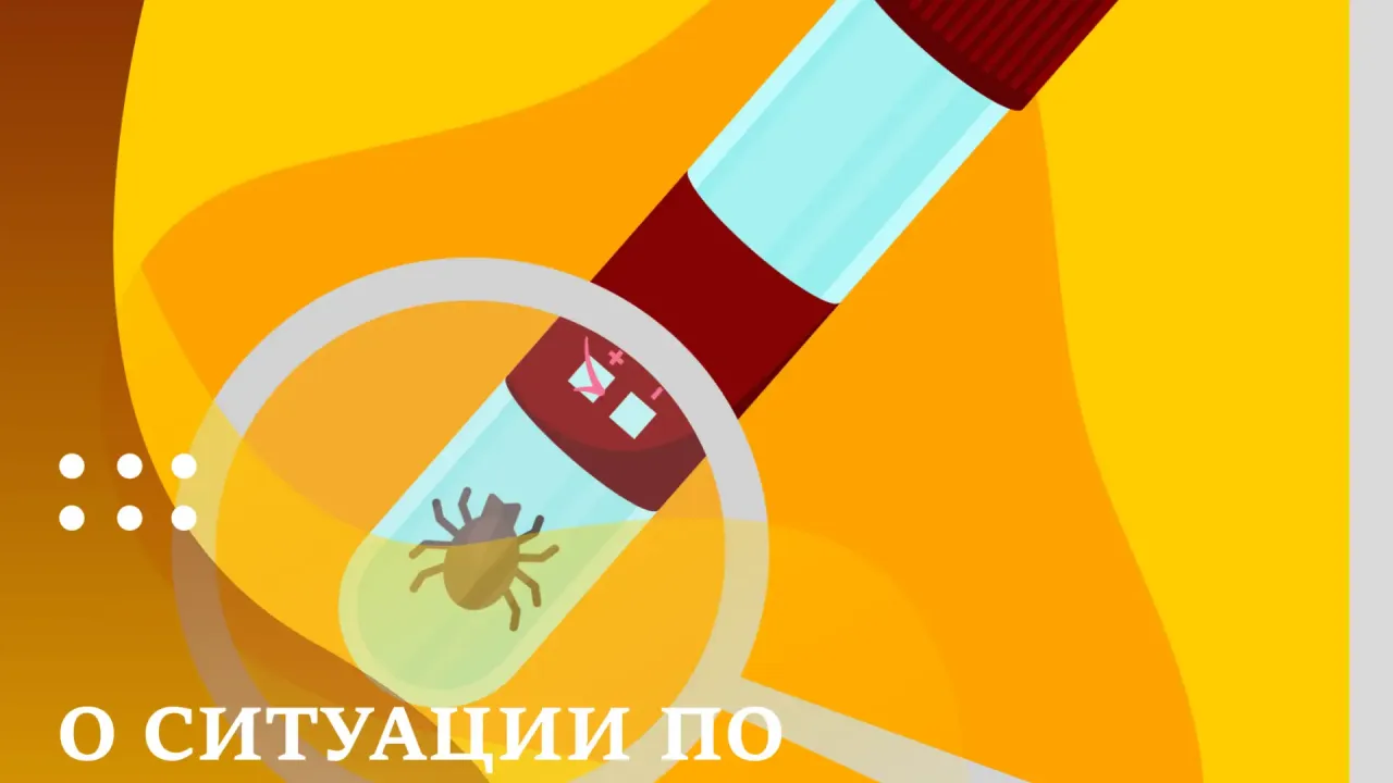 В Тюменской области зафиксировали свыше 12 тысяч обращений из-за укусов клещей — Тюмень Сейчас