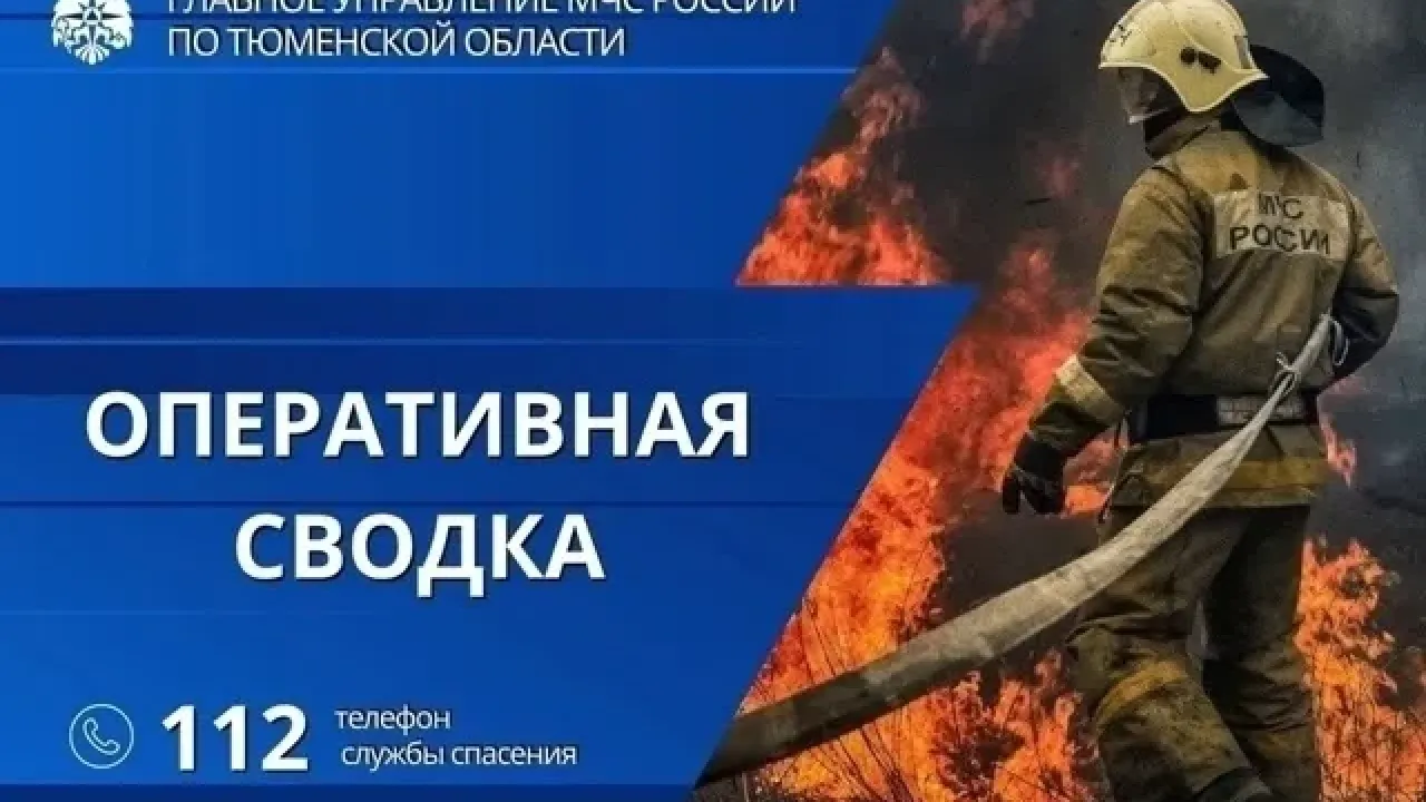 МЧС Тюменской области подвело итоги суток и предупредило о заморозках — Тюмень Сейчас
