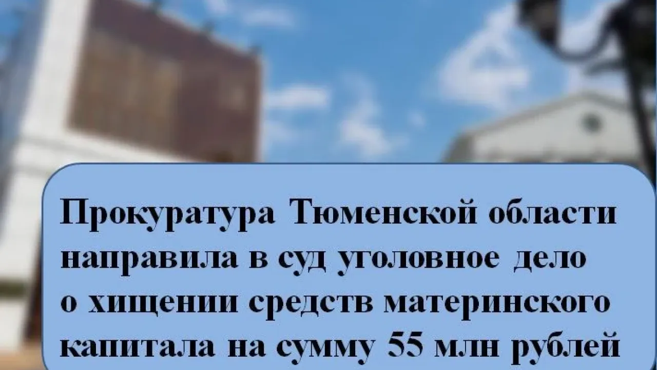 В суд направили дело о хищении средств маткапитала на 55 млн рублей — Тюмень Сейчас