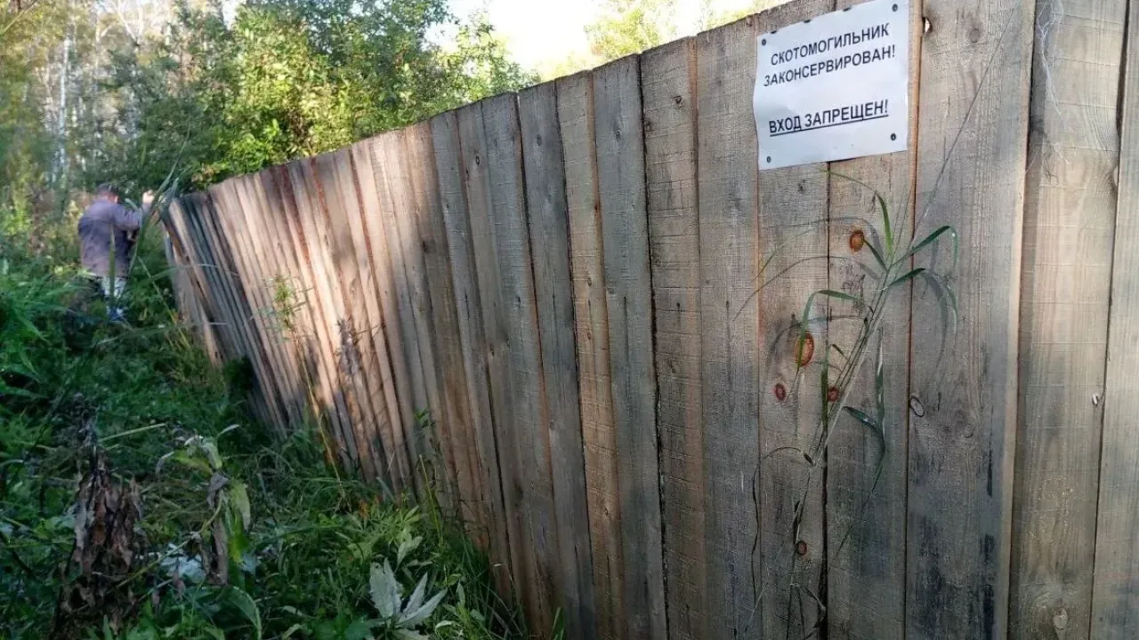 Приставы добились устранения нарушений на территории скотомогильника — Тюмень Сейчас