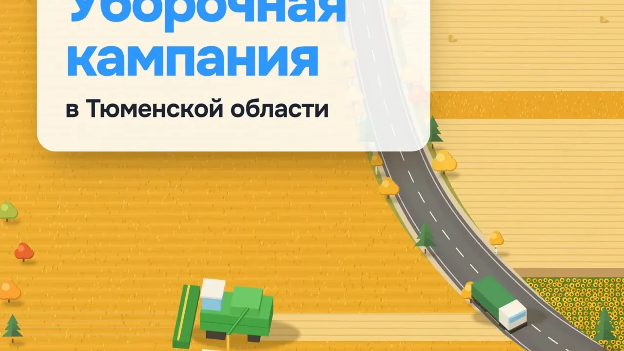 В пяти муниципальных округах Тюменской области уборочная кампания подходит к завершению — Тюмень Сейчас