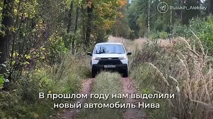 В Ульяновской области отметили День работника леса и рассказали о династиях — Ульяновск Сейчас