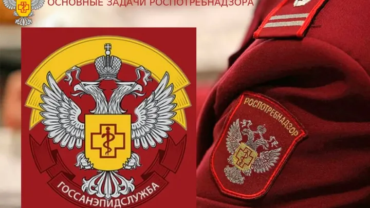 Роспотребнадзор напомнил о роли санитарного надзора и контроле маркировки товаров — Ульяновск Сейчас