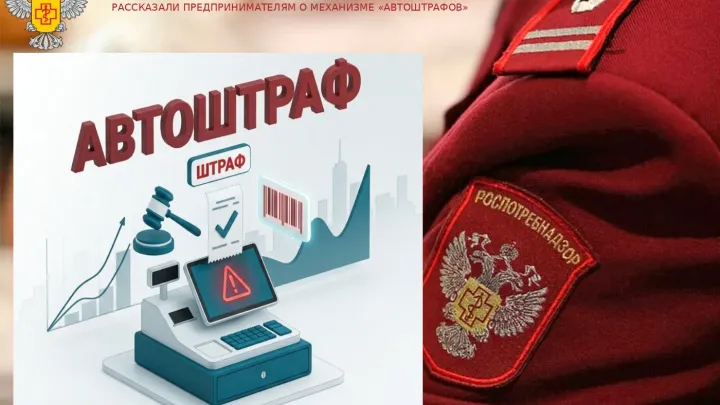 В Димитровграде предпринимателям рассказали о механизме «автоштрафов» — Ульяновск Сейчас