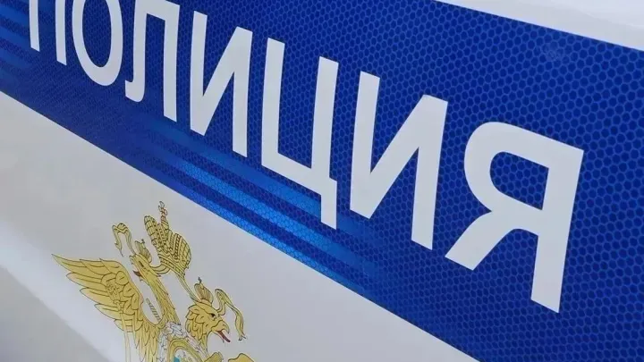 Жителя Ульяновского района осудили за убийство 2012 года и давление на свидетеля — Ульяновск Сейчас