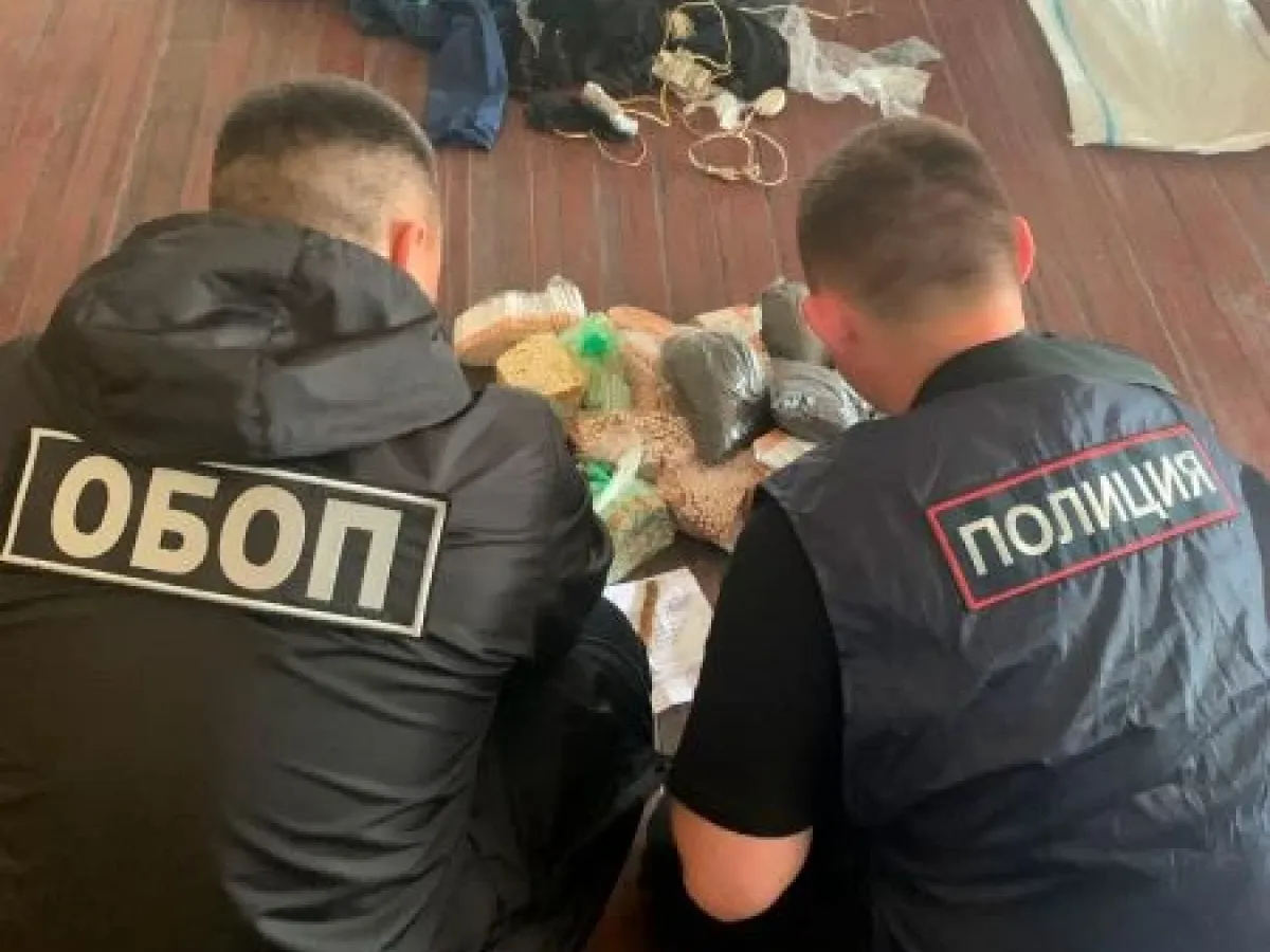 В Ульяновске вынесли приговор организатору и участникам экстремистской ячейки