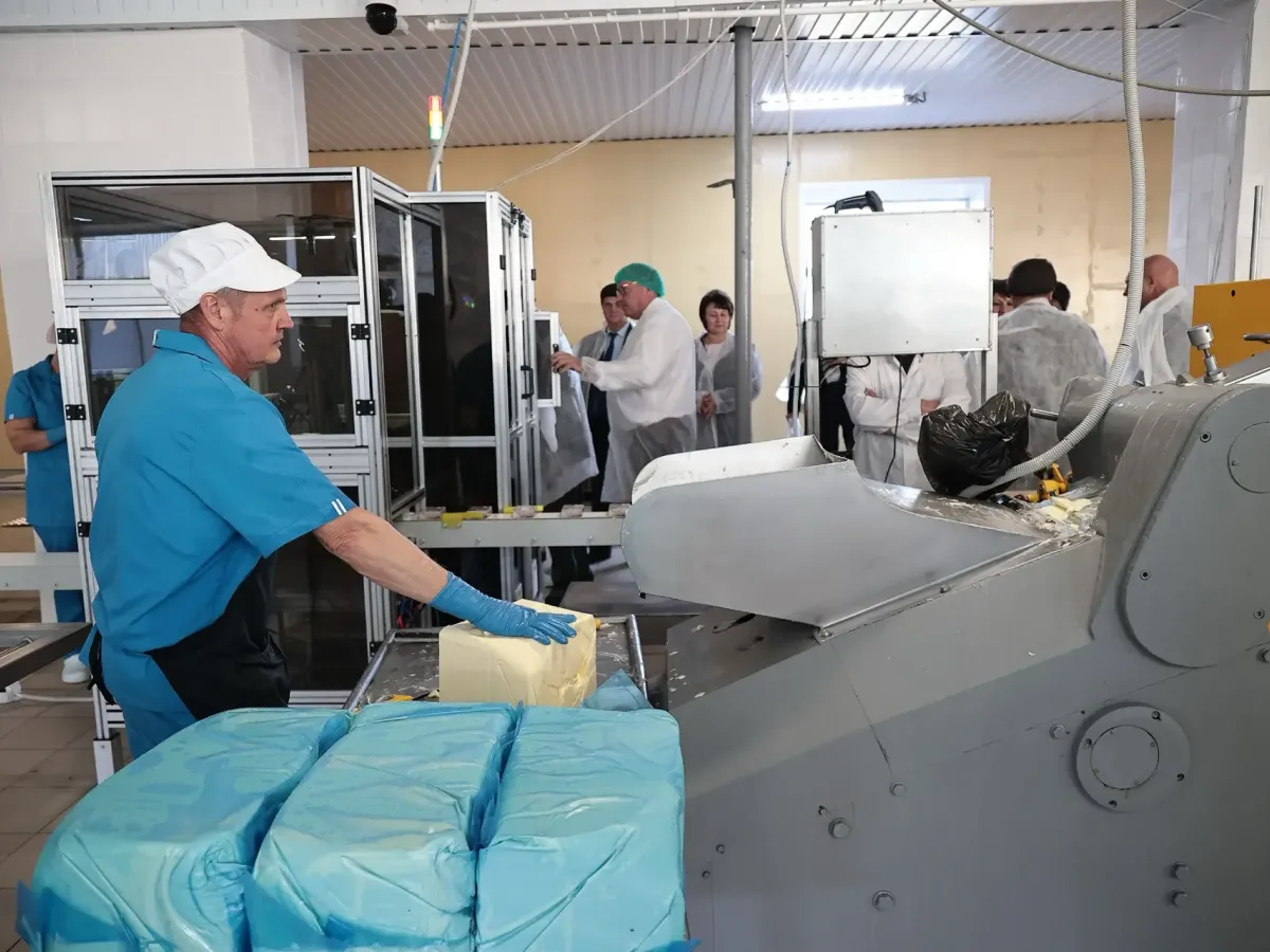 В Вешкаймском районе отчитались о ремонте лицея, библиотеки и дорог
