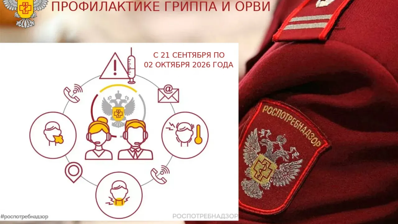 В Ульяновской области откроют горячую линию по профилактике гриппа и ОРВИ — Ульяновск Сейчас