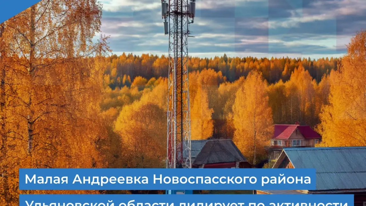 Голосование за подключение мобильного интернета продлится до 8 ноября — Ульяновск Сейчас